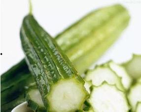 丝瓜成人短视频